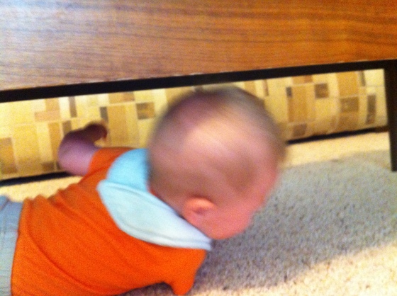D figured out that if he rolls from front to back over and over again he can move around the living room. D rolled himself right under the coffee table and got stuck. I'm a bad Momma. I laughed and took a picture before I helped him out from under the table. 