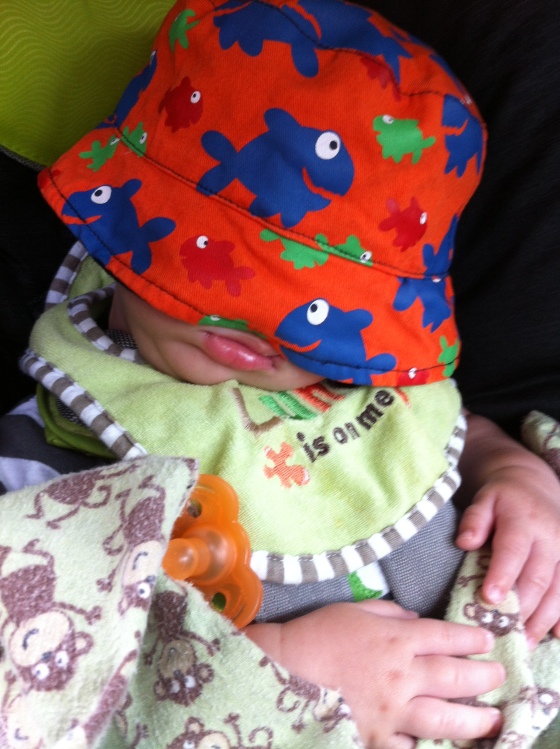 D crashed out in the car on the way to D's softball game. And he's rocking his adorable new hat from Tia. 